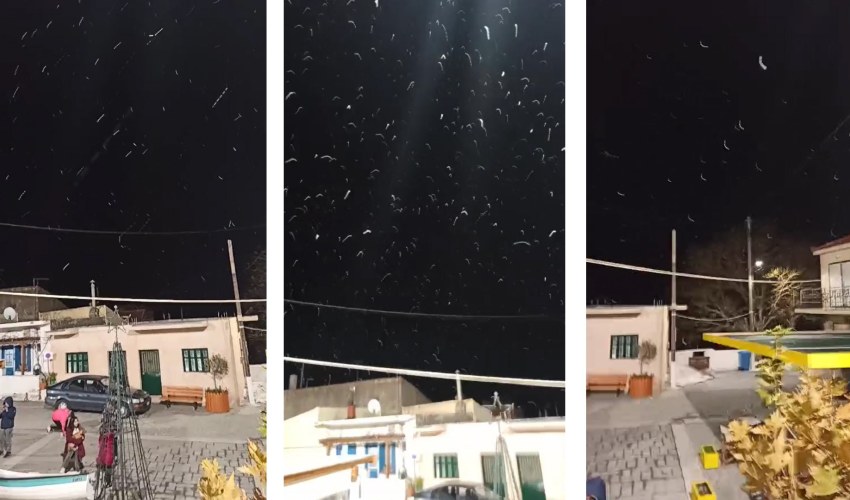 Πηγή Βίντεο- Νάσος Βατράνης - Πρόεδρος Παρπαριάς