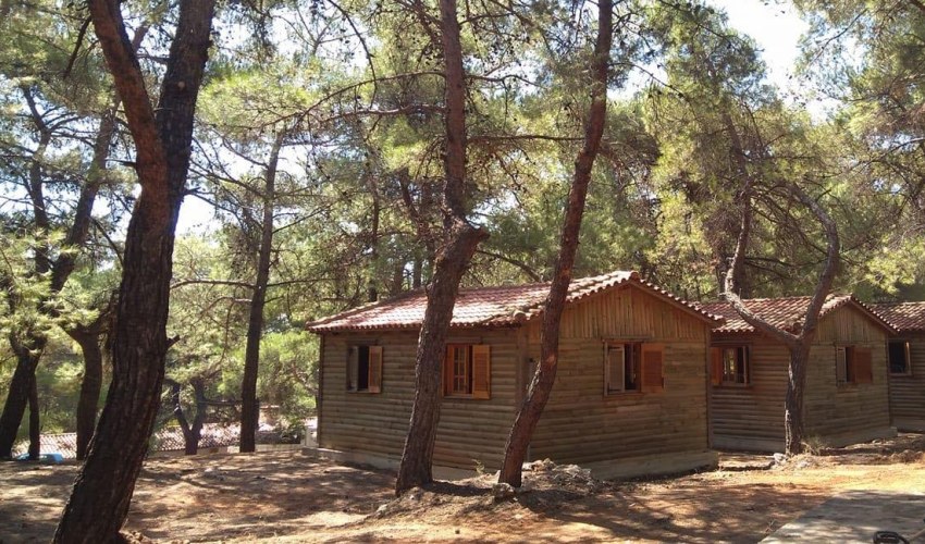 Πηγή φώτο: Kounoupi.gr