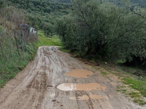 Αδιάβατοι αγροτικοί δρόμοι απειλούν την ανάπτυξη στη Σιδηρούντα