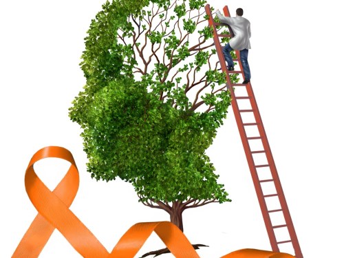 Νέο Διοικητικό Συμβούλιο στο Σωματείο Ατόμων με Σκλήρυνση Κατά Πλάκας Χίου