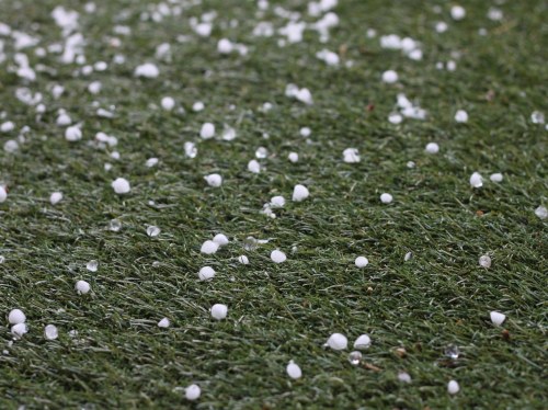 Υποβολή δηλώσεων ζημιάς από παγετό στη Χίο