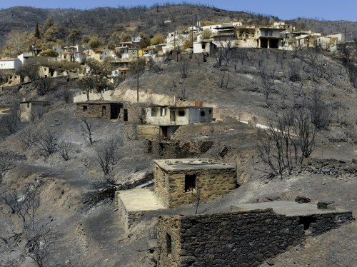 Έλεγχος αυτοψιών και δρομολόγηση αποζημιώσεων – Διπλή επίσκεψη επιτροπών στη Χίο