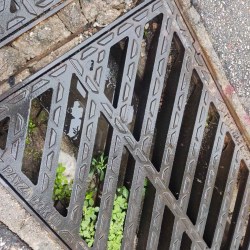 Στο τέλος της Απλωταριάς στη διχάλα των οδών Στεφάνου Τσουρή και Καλαμπόκα